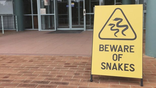 A sign telling workers to be careful because dangerous reptiles are about.
