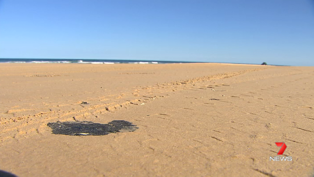 Oil "patties" are being cleaned up along a stretch of beach on Fraser Island.