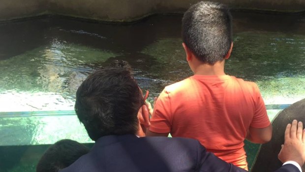 Premier Daniel Andrews,  with asylum seekers' children at Melbourne Zoo, has called on federal government to let them stay in Australia.