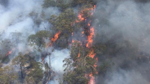 The TJs blaze in the Wollemi National Park has been burning for three weeks.