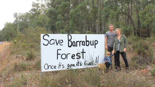 Locals have successfully halted clearing of the forest pending old growth and Aboriginal heritage assessments. 