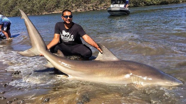 Hassan Alameri said it took plenty of help to bring the shark up onto the beach.