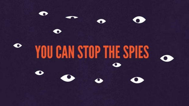 A screen grab from the Stop the Spies website.