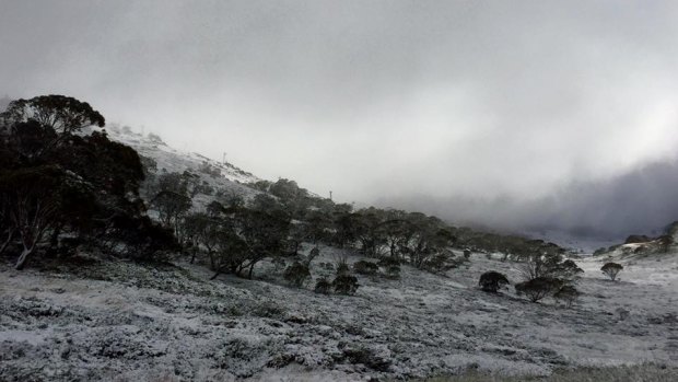 Perisher Resort uploaded a photo on Facebook showing snow on the mountain.