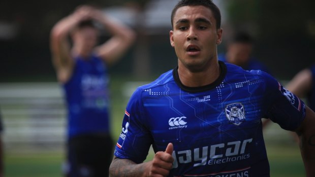 Dogs days: Michael Lichaa has worked hard  at Canterbury.