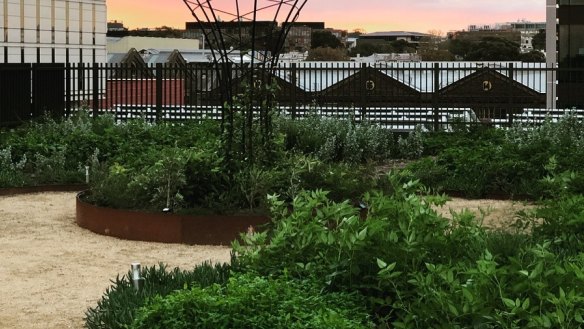 Yerrabingin House is the world's first First Nations rooftop farm.