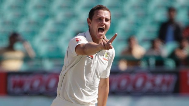 No.1: Josh Hazlewood has been a mainstay in Australia's pace attack for the past three years.