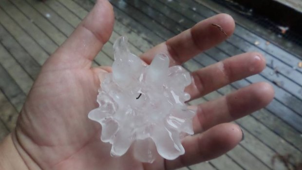 Hail from Murwillumbah. Courtesy of Nola-Lee Berry and Higgins Storm Chasing.
