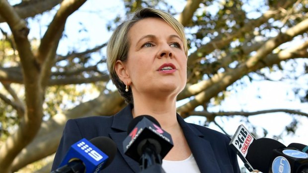 Deputy Opposition Leader Tanya Plibersek said the government was too focused on internal politics to make a decision. 