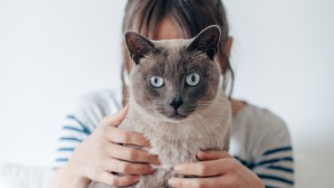 Why The New Yorker S Cat Person Story Struck Such A Nerve