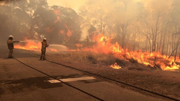 A bushfire burnt through 71,000 hectares of land, destroyed 143 properties and razed the township of Yarloop in January.