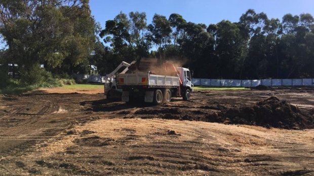 Earthworks are underway at Bressington Park as Strathfield council proceeds with building a 140-space car park on the site. 