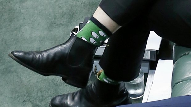 Deputy Prime Minister Barnaby Joyce's sheep socks during question time in March.