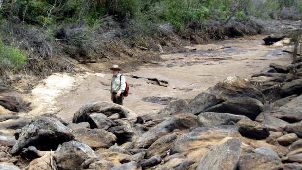 Waratah Rivulet, which flows into the Woronora Reservoir, displaying dried and cracked creek bed with underground mining nearby.