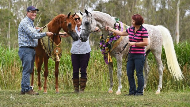 Greg, Julie and Jane Farrell with horses Chance to Dance and A Vision Mi.