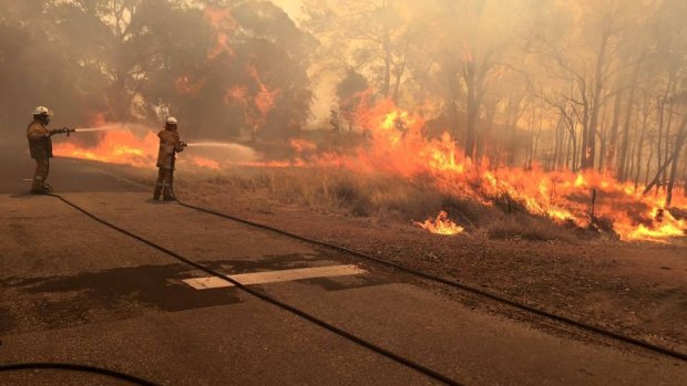 Photo of the fire-front in Waroona and Yarloop last week.