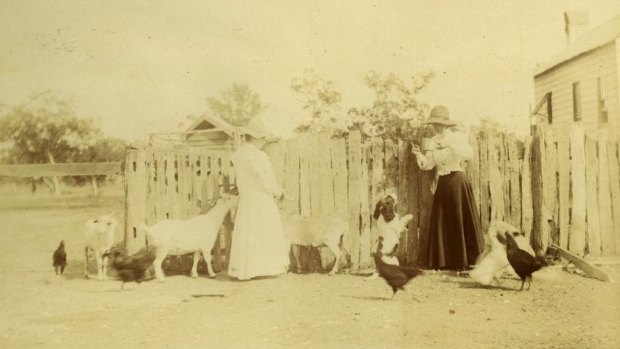 Wilhelmina (Mrs Lance Rawson) and Winifred Rawson with goats at The Hollow, Mackay.