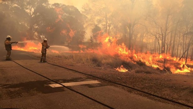 A bushfire burnt through 71,000 hectares of land, destroyed 143 properties and razed the township of Yarloop in January.