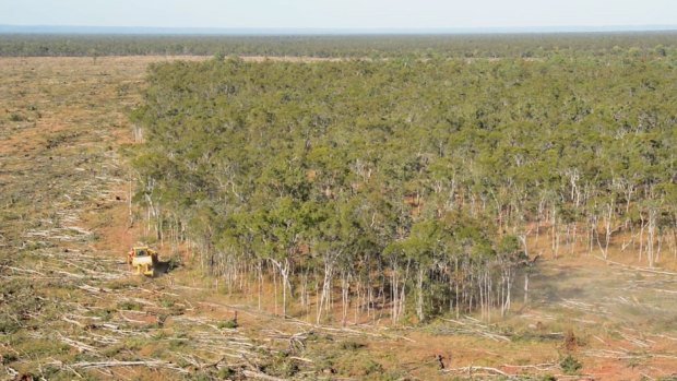 Queensland government efforts to re-introduce land-clearing curbs failed in mid-2016.