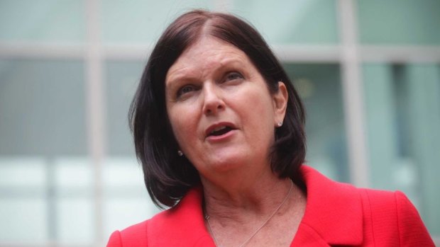 ACOSS chief executive Cassandra Goldie said flaws in the legislation for the proposed internship scheme would put unemployed young people at risk of exploitation.