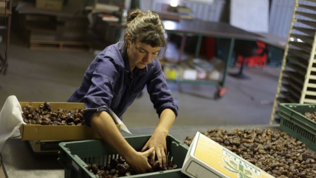 SSE star: Ella McHenry set up Desert Fruit Company, a worker-owned farm that promotes a model for sustainable farming after doing the SSE course.