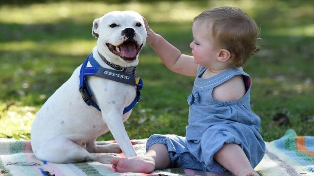 Meet Ella and Snowy, who have become inseparable.