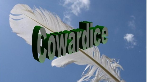 White feather of cowardice