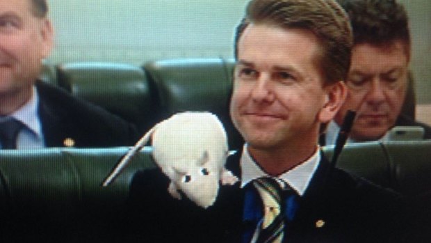 Jarrod Bleijie sported a rat in Queensland Parliament question time earlier this week.