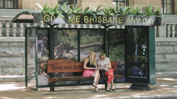 This rainforest-themed bus shelter is near City Hall on Ann St as part of a new advertising campaign.