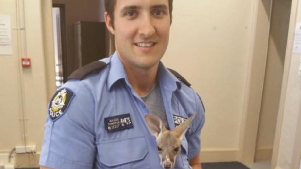 Constable Scott Mason with Cuejo the joey.