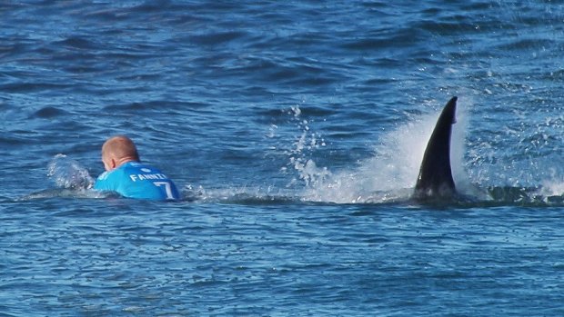 Close call: Mick Fanning is attacked by a shark during the finals of the J-Bay Open.