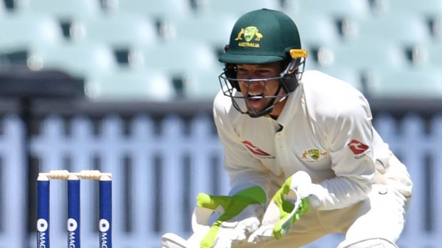 Controversial selection: Tim Paine minds wickets behind James Anderson during England's tour match against a Cricket Australia XI.