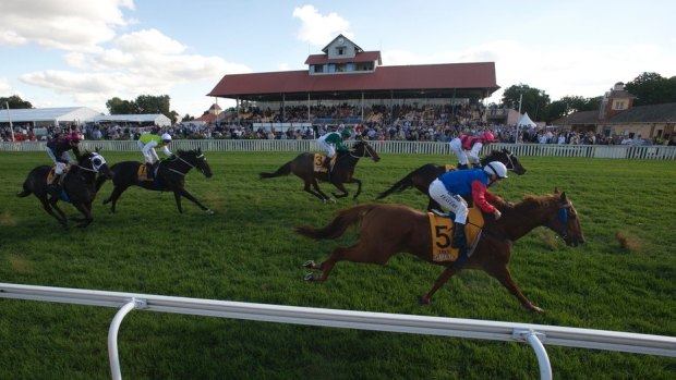 Grandstanding: Ted Ryder Cup day is a important date on the calendar at Murrumbidgee Turf Club.