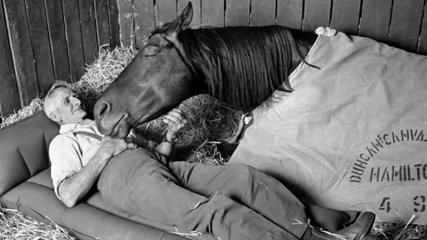 Special bond: Tommy Woodcock, former trainer of Phar Lap, with Reckless in 1977.