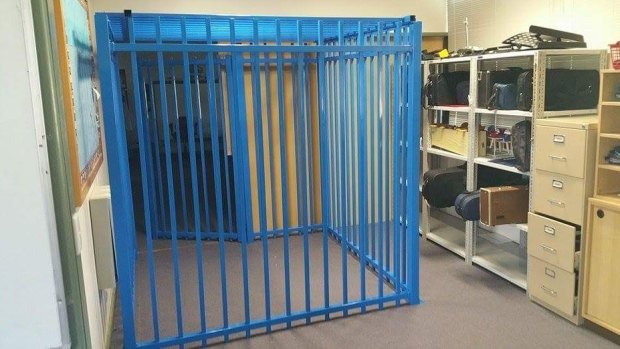 The principal of the Canberra school where a cage was erected for a 10-year-old autistic student has lost her job after an inquiry found she was the sole instigator of the decision.
