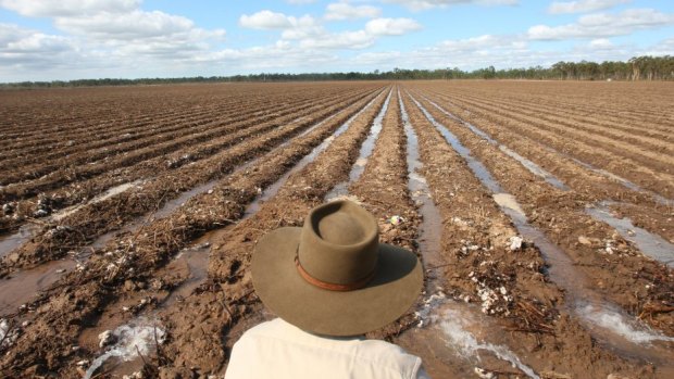 Queensland's rural residents have a less positive view of the future of their towns.