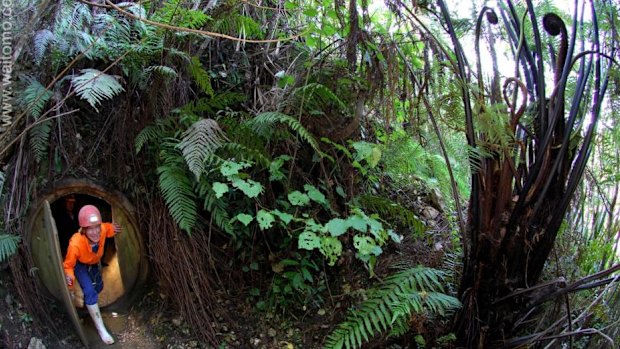 The 'lost world' of Waitomo.