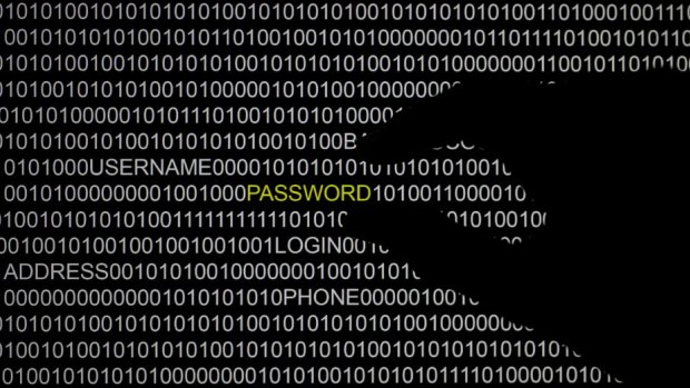 The Heartbleed bug can allows criminals to steal the private keys that websites use to decrypt passwords.