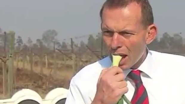 Tony Abbott, who has a history of eating raw onions in public, chomps on a spring onion in 2011.