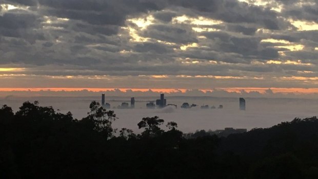 Fog covers Brisbane CBD, as seen from Mount Coot-tha.