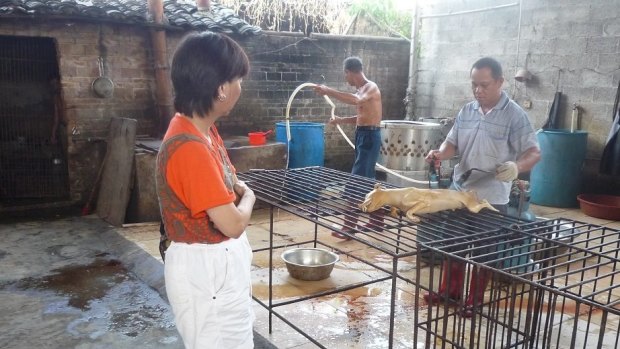 Andrea Gung, executive director of the Duo Duo Animal Welfare Project, visits a slaughterhouse in Yulin.