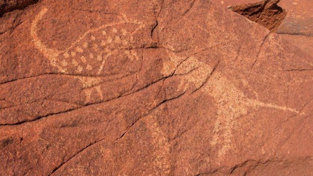 Petroglyphs of mammals on Burrup Peninsula rocks.