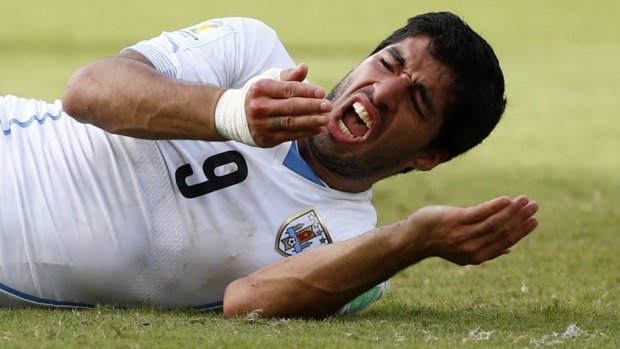 Serial bitter: Luis Suarez faces a lengthy ban if found guilty.