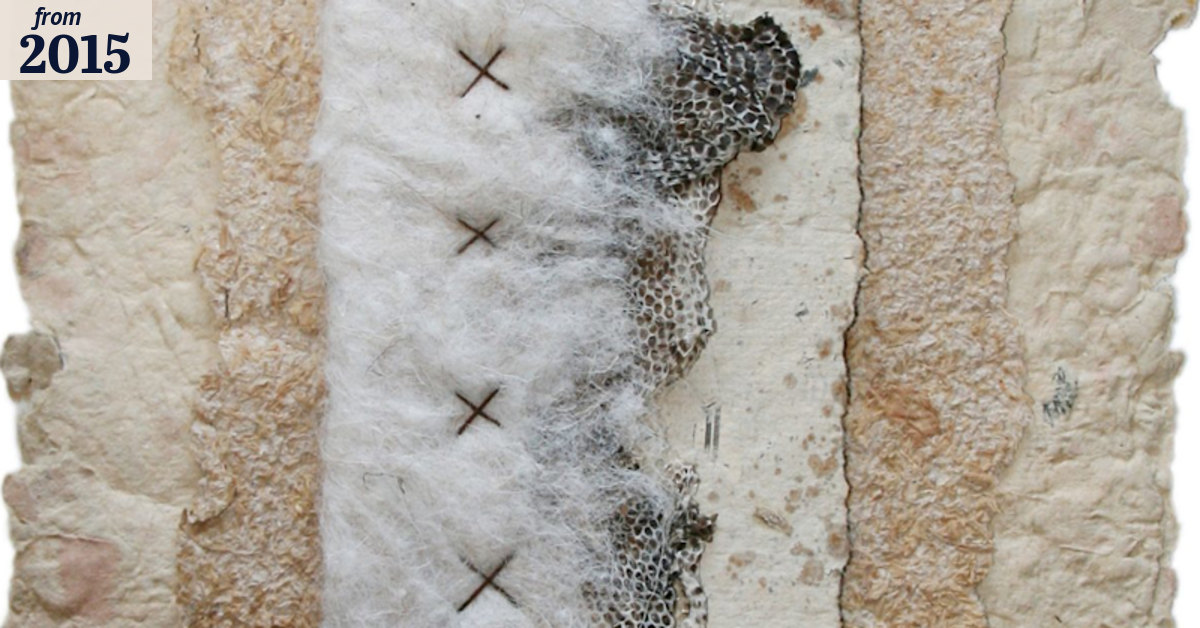 Sunshine Coast artist uses human hair in Random Transition: fibre. rust ...