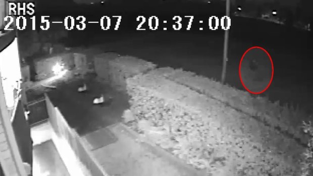 CCTV showing a mysterious figure walking past Parramatta Golf Course on the night of Prabha Kumar's death.