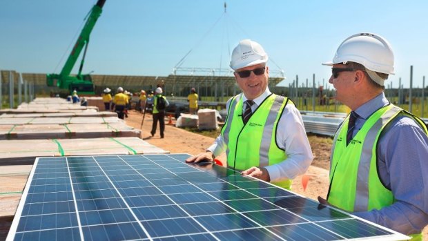 Solar panels lifted into place at the Sunshine Coast's new solar farm at Valdora near Yandina.