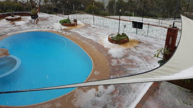 It's been a frosty winter for WA and so far spring has been just as chilly. 