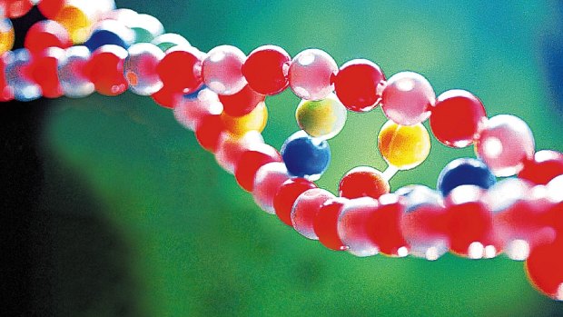 Life's building block: DNA.