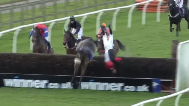 Flipping out: jockey Lewis Ferguson flies through the air after losing his mount.
