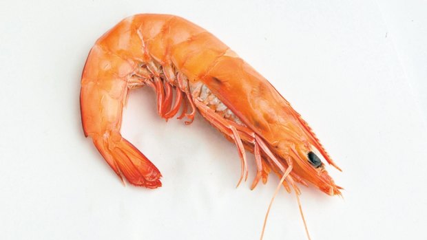 Prawn fishers south of Brisbane are facing a 30 per cent revenue hit over Christmas.